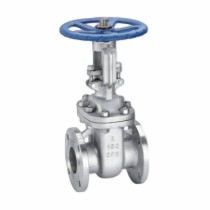 ANSI Stainless Steel Gate Valve