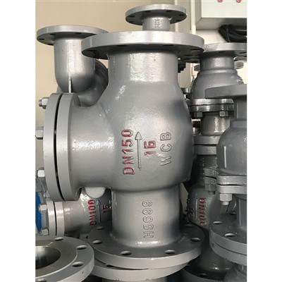 ANSI Stainless Swing Check Valve