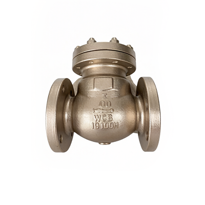Cast Steel Check Valve