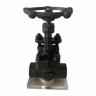 Forged Globe Valve