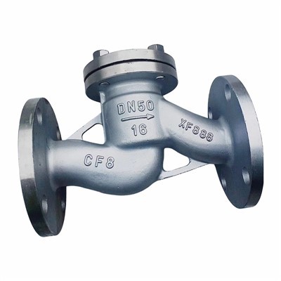Stainless Steel Check Valve